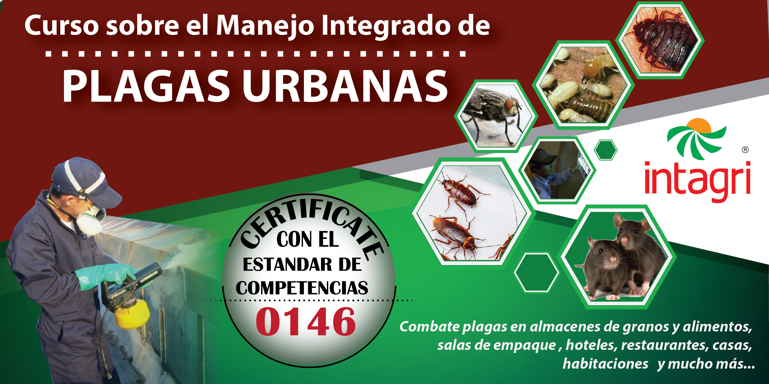 Curso Virtual Curso Manejo Integrado De Plagas Urbanas Abril